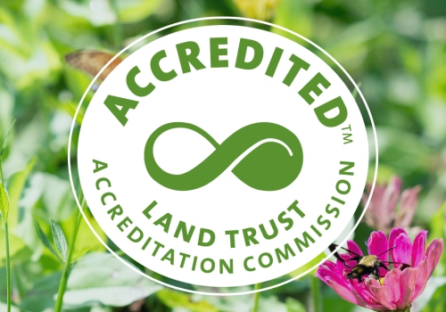 Celebrating Our Accreditation!