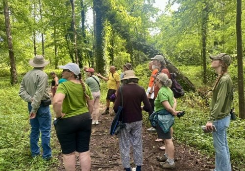 Navigating Natives and Invasives (Columbia Star)