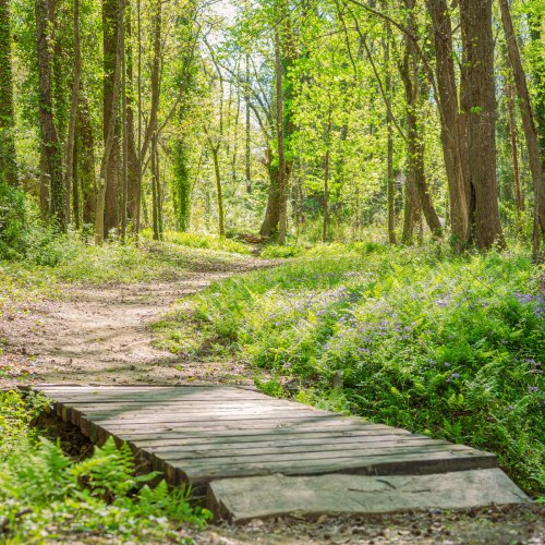 Take a hike, Spartanburg!
